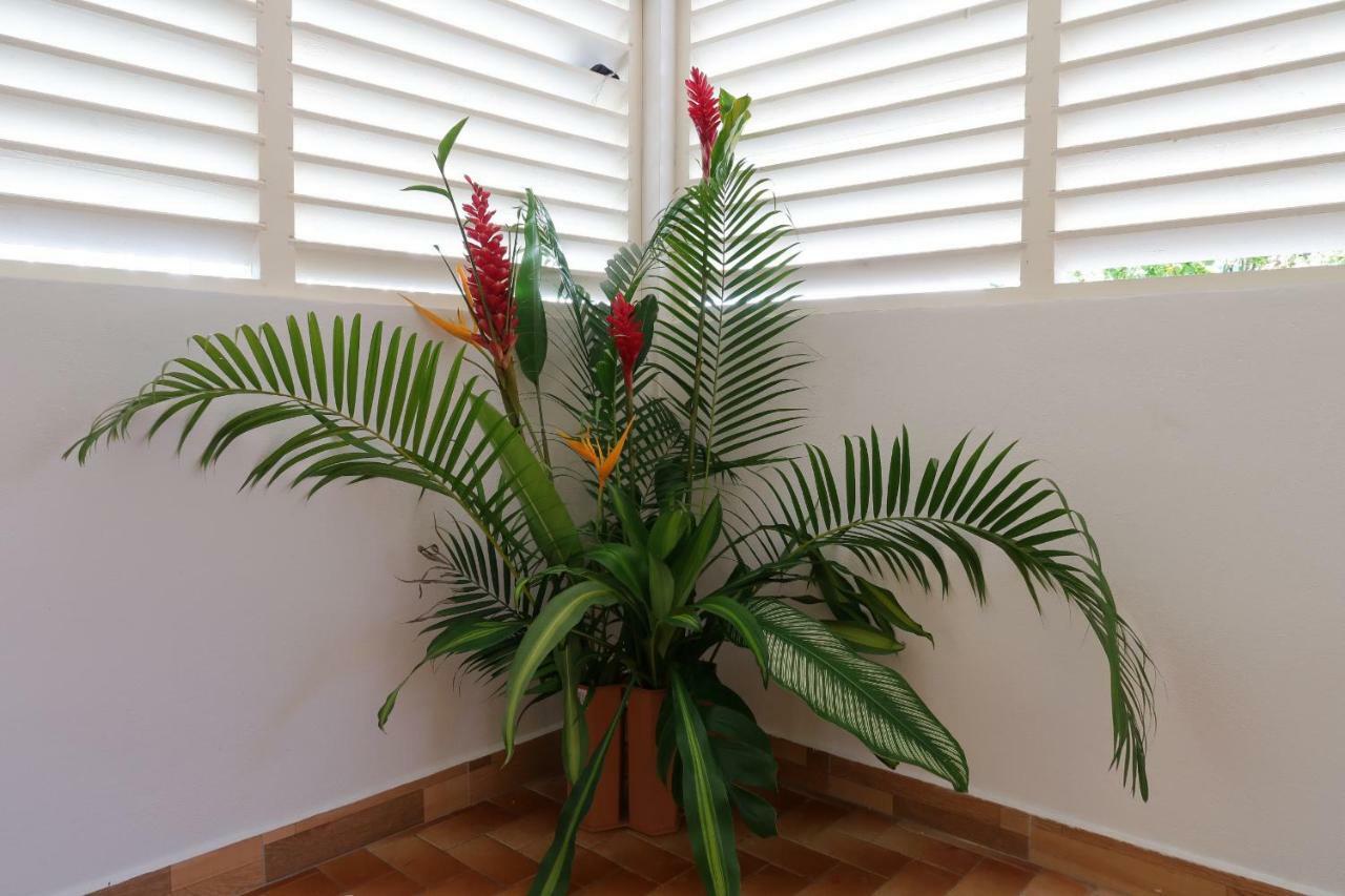 Maison Lakadri - Gosier Leroux Le Gosier  Ngoại thất bức ảnh